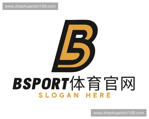 关于BSport体育官网